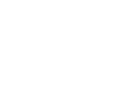 logo-triumph